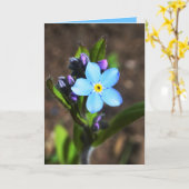 Spring Flowers Greeting Card Karte (Gelbe Blume)