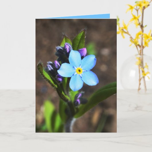 Spring Flowers Greeting Card Karte (Gelbe Blume)
