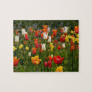 Spring Flowers Puzzle