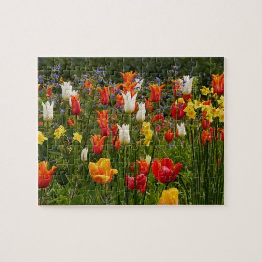 Spring Flowers Puzzle (Horizontal)