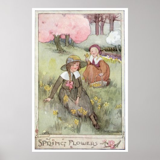 Spring Flowers von Anne Anderson Poster (Vorne)