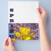 SPRING Flyer Papier Dickdarm Blume Baumblüten (Hand)