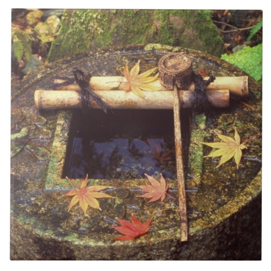 "Spring for Tee Zeremony", Ryanair Temple, Kyoto, Fliese (Vorderseite)