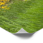 Spring forest in Luxembourg travel Poster (Ecke)