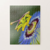 Spring Garden - Passion Blume Puzzle (Vertikal)