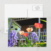 SPRING GARDEN POSTKARTE (Vorne/Hinten)
