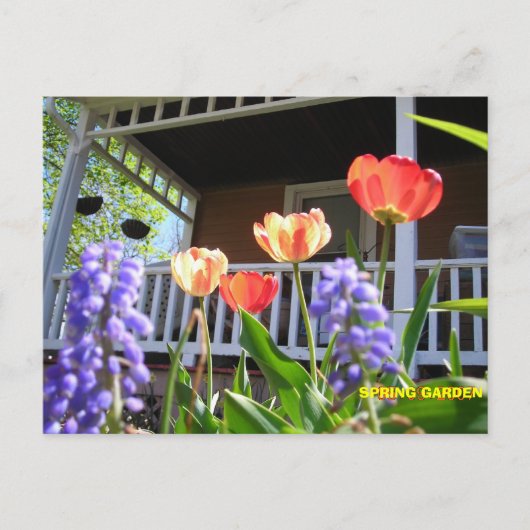 SPRING GARDEN POSTKARTE (Vorderseite)