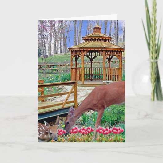 Spring Gazebo Karte (Vorderseite)