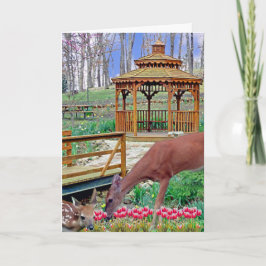 Spring Gazebo Karte