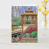 Spring Gazebo Karte (Gelbe Blume)