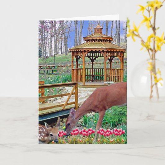 Spring Gazebo Karte (Gelbe Blume)