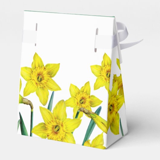 Spring Gelbe Daffodien Kunst Dankeschön Geschenk Geschenkschachtel (Rückseite)