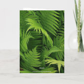 SPRING GREEN FERN FOTO GREETCARD KARTE (Rückseite)