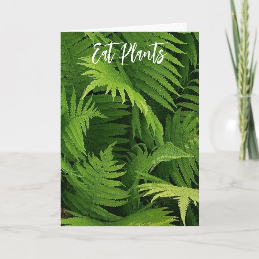 SPRING GREEN FERN FOTO GREETCARD KARTE (Vorderseite)