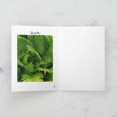 SPRING GREEN FERN FOTO GREETCARD KARTE (Innenseite)