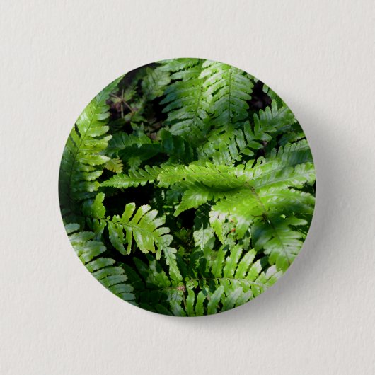 Spring Green Ferns boho botanisch Button (Vorderseite)
