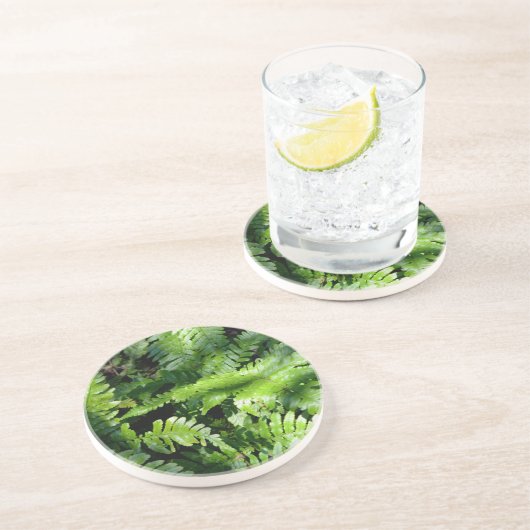 Spring Green Ferns boho botanisch Getränkeuntersetzer (Seite)