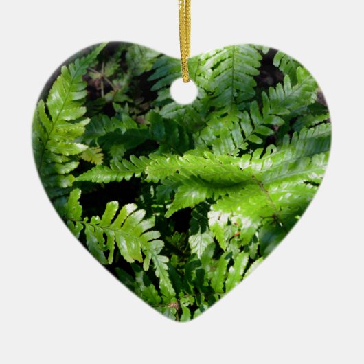 Spring Green Ferns boho botanisch Keramik Ornament (Vorne)