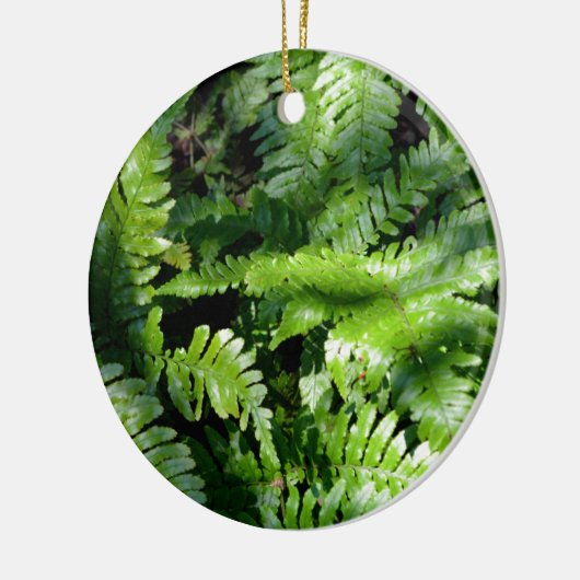 Spring Green Ferns boho botanisch Keramik Ornament (Links)