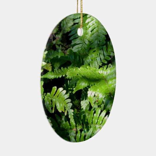Spring Green Ferns boho botanisch Keramik Ornament (Rechts)