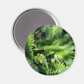 Spring Green Ferns boho botanisch Magnet (Vorderseite/Rückseite)