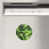 Spring Green Ferns boho botanisch Magnet (In Situ (Geschirrspüler))