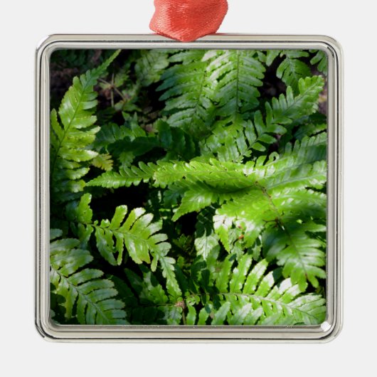 Spring Green Ferns boho botanisch Ornament Aus Metall (Vorne)