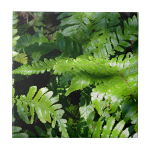Spring Green Ferns botanischer Blick auf den grüne Fliese