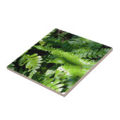 Spring Green Ferns botanischer Blick auf den grüne Fliese (Seite)