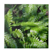 Spring Green Ferns botanischer Blick auf den grüne Fliese (Vorderseite)