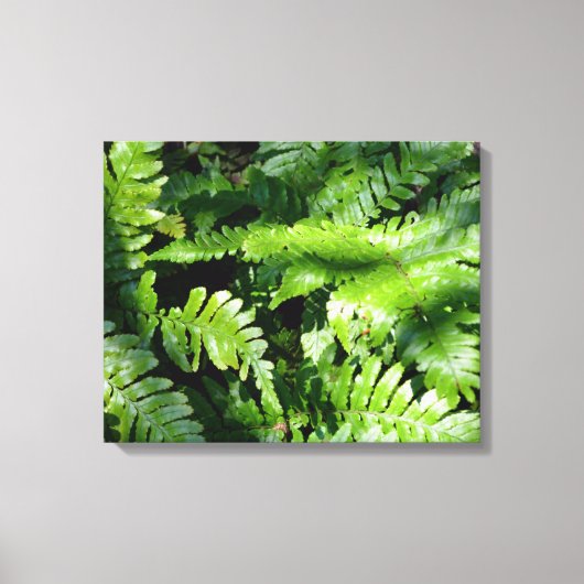 Spring Green Ferns Leinwanddruck (Vorderseite)