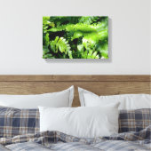 Spring Green Ferns Leinwanddruck (Insitu (Schlafzimmer))
