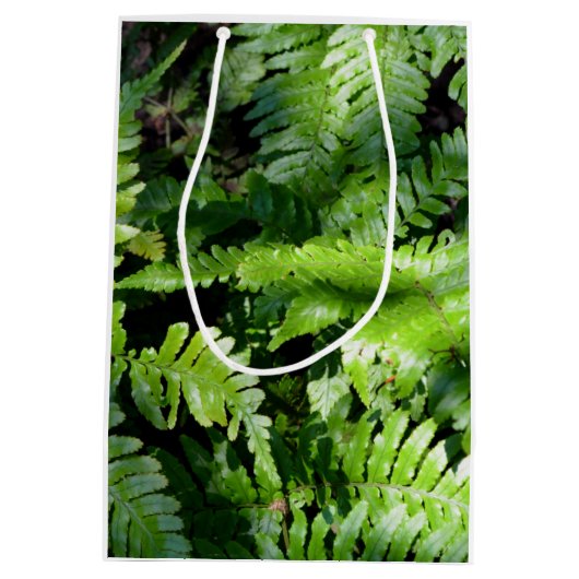 Spring Green Ferns Mittlere Geschenktüte (Rückseite)