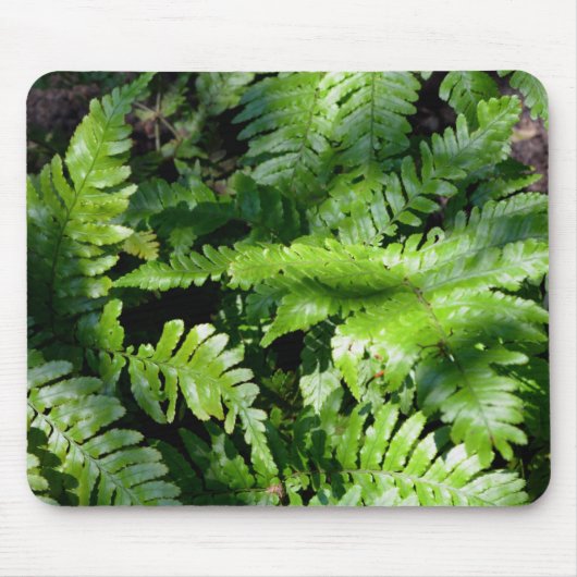 Spring Green Ferns Mousepad (Vorne)