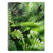 Spring Green Ferns Notizblock (Vorderseite)