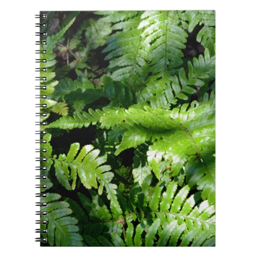 Spring Green Ferns Notizblock (Vorderseite)