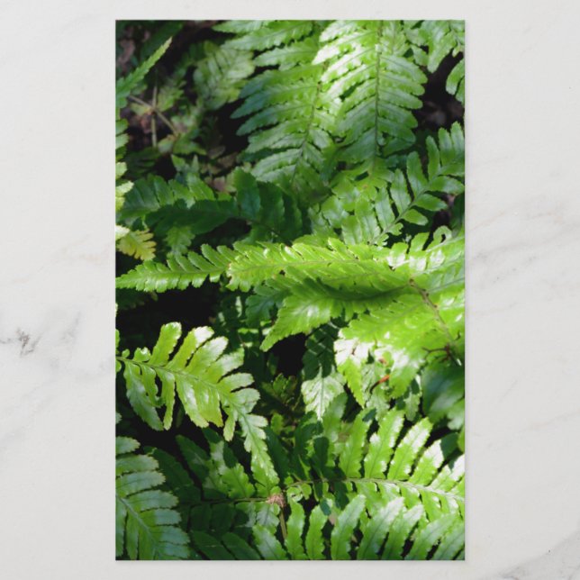 Spring Green Ferns tropische botanische Vegetation (Vorderseite)