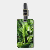 Spring Green Ferns tropische botanische Vegetation Gepäckanhänger (Vorderseite vertikal)