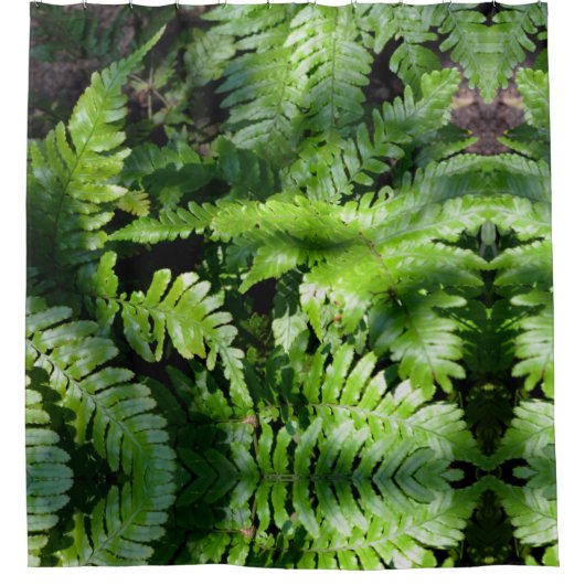 Spring Green Ferns Wald botanisch Duschvorhang (Vorderseite)