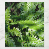 Spring Green Ferns Weinetikett (Einzelnes Label)