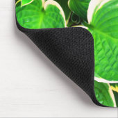 Spring Green Hosta Blätter Mousepad (Ecke)