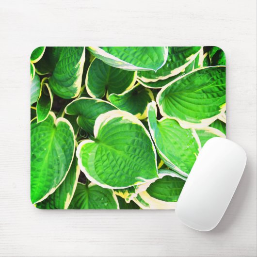 Spring Green Hosta Blätter Mousepad (Mit Mouse)