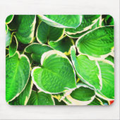 Spring Green Hosta Blätter Mousepad (Vorne)