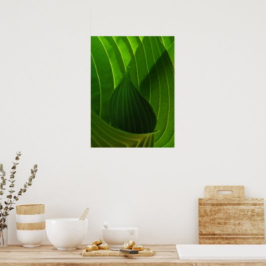 Spring Green Hosta Leaf Poster Print (Küche)