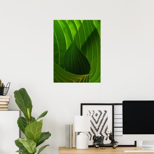 Spring Green Hosta Leaf Poster Print (Heimbüro)
