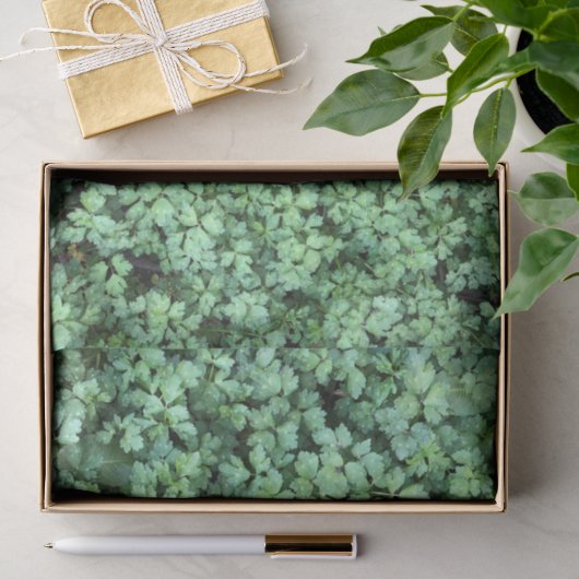 Spring Green Pflanze Verlasst Friedlich Hanami Seidenpapier (Geschenk)