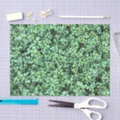 Spring Green Pflanze Verlasst Friedlich Hanami Seidenpapier (Handwerk)