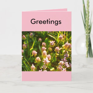 Spring Greetings Favorites Karte