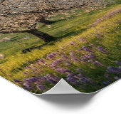 Spring Greetings Poster (Ecke)