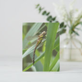 Spring Hawker Dragonfly DIY Postkarte (Stehend Vorderseite)